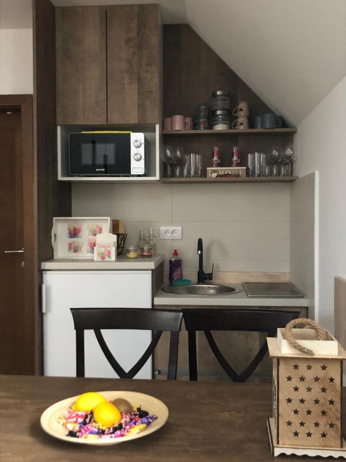 Apartmani Vidatela 科帕奥尼克 外观 照片