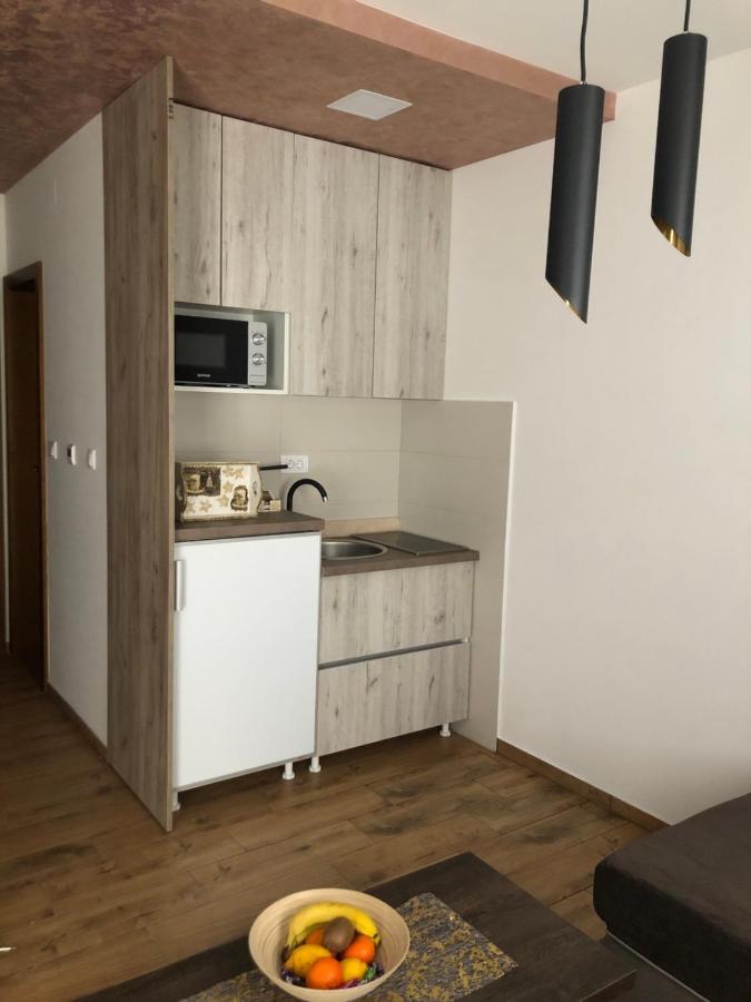 Apartmani Vidatela 科帕奥尼克 外观 照片